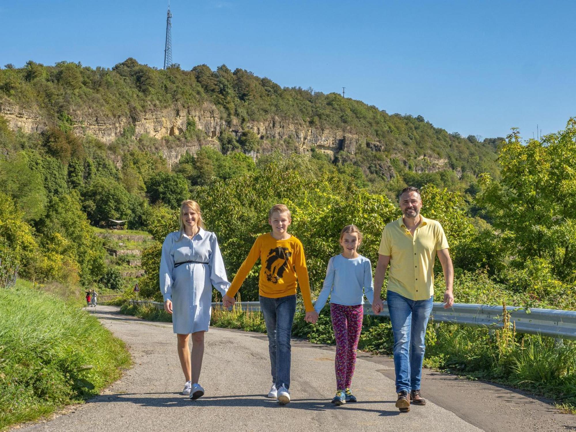 Appartements Im Weingut Frieden-Berg Ніттел Екстер'єр фото