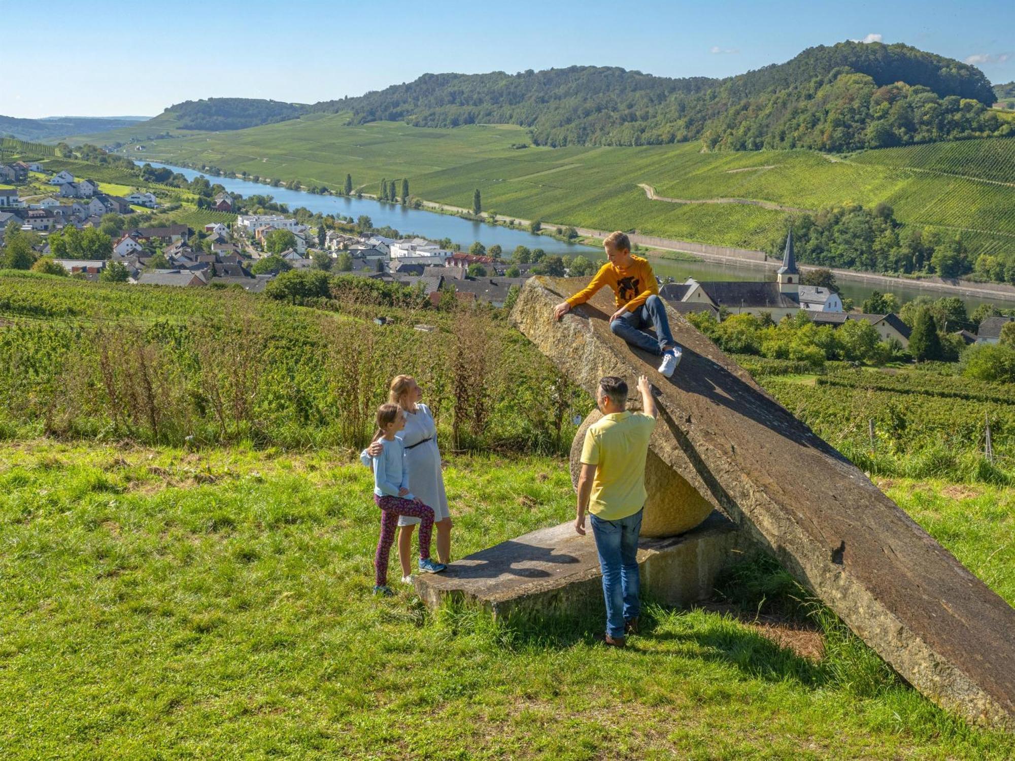 Appartements Im Weingut Frieden-Berg Ніттел Екстер'єр фото